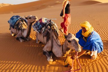 A 10-Day Desert Tour from Casablanca