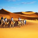 Sahara desert tours