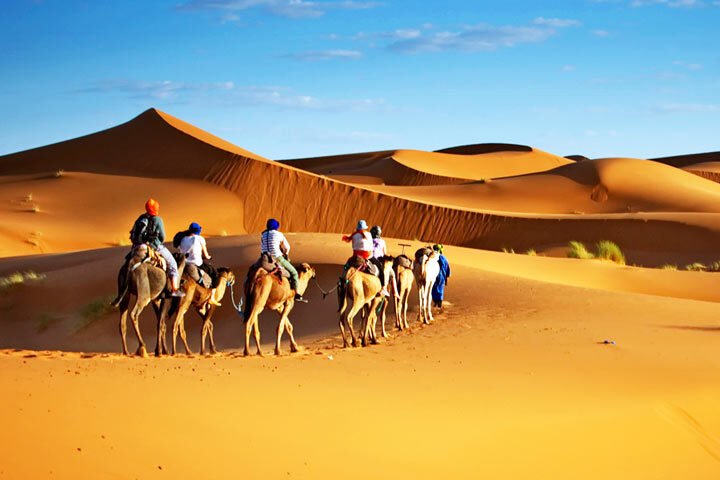 Sahara desert tours