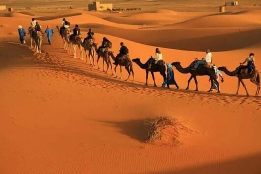 Unveiling the Magic of Morocco: The Ultimate Desert Safaris Tours