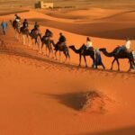 desert