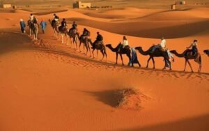 desert